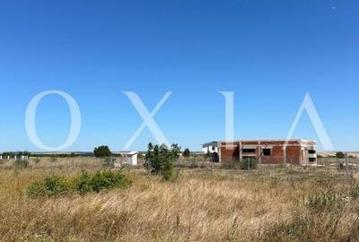 OX662 Casa pe un singur nivel, in Pischia OX662 Casa pe un singur nivel, in Pischia - 5