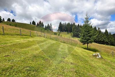 Teren de vis in Fundata 1934mp sau 3868mp, la inal?im... - 13