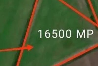 Teren Intravilan 16.500 mp Bod - 2