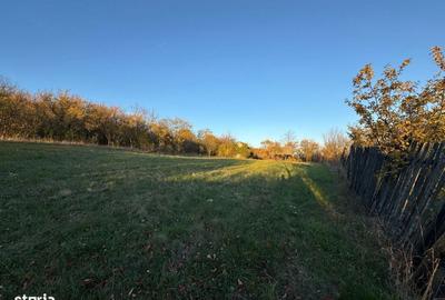 Teren de 3323 mp, în Ineu - 5