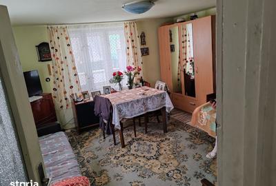 Casă cu 4 camere cu Teren 1470 Mp în Baciu - 4
