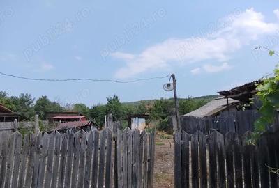 Casă cu 2 camere în Leordeni - 6
