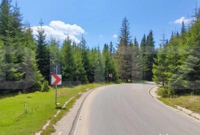 Teren de 1000 mp, în Central