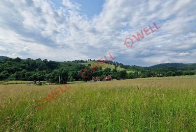 Teren de 940 mp, în Brăduț - 1
