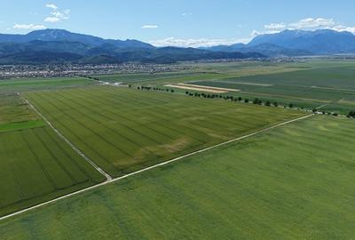 Teren de vânzare într-un ansamblu rezidențial nou! - 4