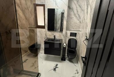 Apartament cu 3 camere semidecomandat, mobilat în Valea Adâncă - 2