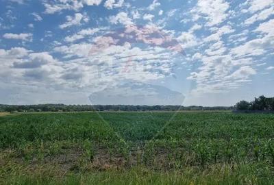 De vanzare teren 10.001 mp sat Oniscani, comuna Filipe?ti - 5