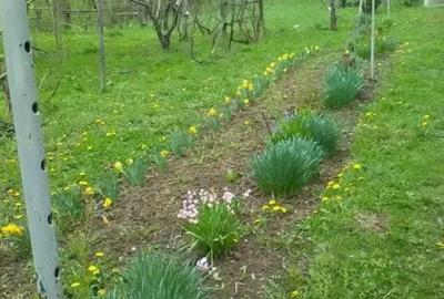 Spațiu comercial, în Posești - 2