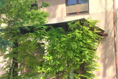 Casă cu 4 camere cu Canalizare în Străulești - 16