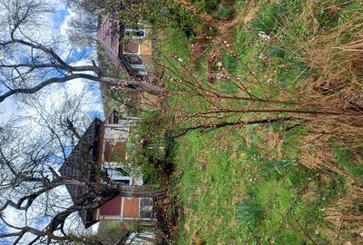 20 de arii si 2 case in Fi?cau - 5