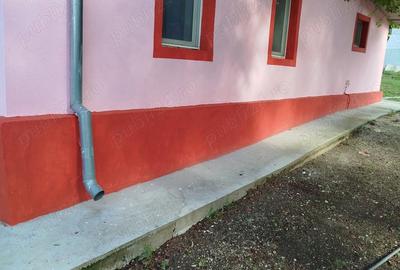 Casă cu Teren 3000 Mp în Bucșani - 7