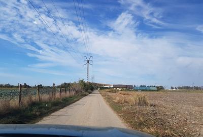 Teren 1.597mp, deschidere 47 ml, situat la 350m de Calea Barladului - 5