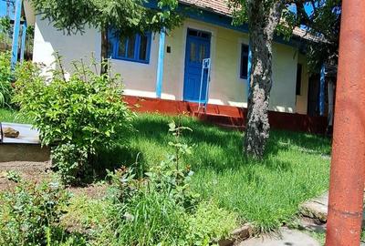 Casă cu 3 camere în Moșna - 1