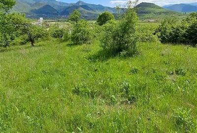 Teren  de vanzare la liziera padurii in Talmaciu - 11