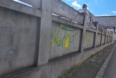 Casă individuală cu 2 camere cu Teren 350 Mp în Rahova - 8