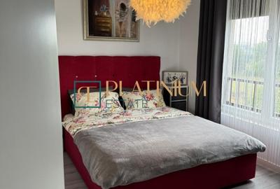 Apartament cu 2 camere semidecomandat, mobilat în Dumbrăvița - 12