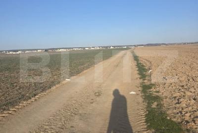 Teren Construcții intravilan de 5000 mp, în Sud-Est - 2