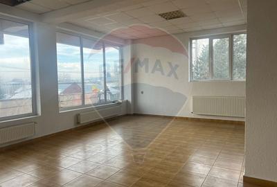 Casă individuală cu 11 camere cu Teren 4200 Mp în Corbeanca - 4
