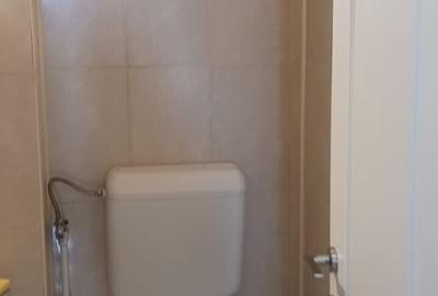 Apartament cu 2 camere decomandat, mobilat în Dristor - 9
