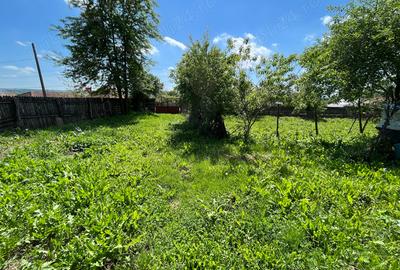 Casa la Ciovarnasani 3600mp - 8