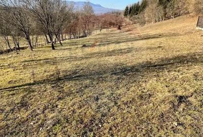 Teren de 6900 mp, în Breb - 2