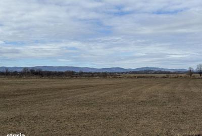 Spațiu comercial, în Central - 1