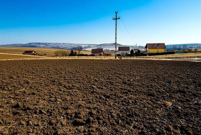 Teren Construcții intravilan de 991 mp, în Moara Carp - 5