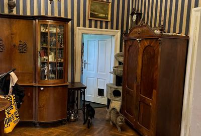 Casa singur in curte -teren 680 mp- zona premium in Sibiu - str. Balea - 5