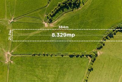 Teren agricol extravilan de 8329 mp, în Glăjărie - 2