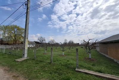 Spațiu comercial, în Răucești - 5