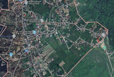 Teren 3500mp. Paun Bucium la asfalt cu toate utilitatile - 6
