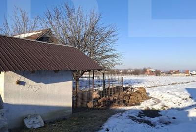 Casă cu 4 camere cu Teren 3404 Mp în Central - 7