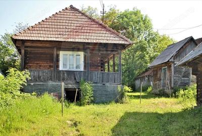 Casă cu 2 camere cu Teren 2447 Mp în Hoteni - 9