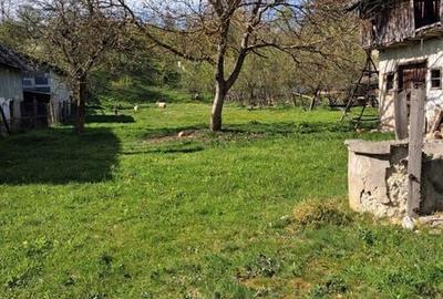 Teren de 2300 mp, în Mihăești - 6
