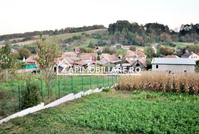 De vanzare 2 case cu 4.900 mp teren, Livezeni 0% comision - 2