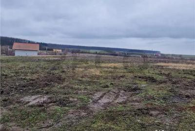 Teren în Păușa - 2