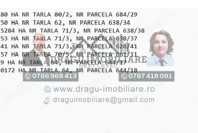 Teren de 75000 mp, în Munteni - 1