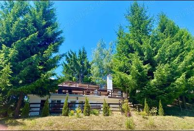 Casă cu 3 camere cu Teren 1800 Mp în Colibița - 5