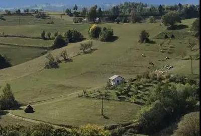 Teren de 4300 mp, în Poiana Mărului - 5