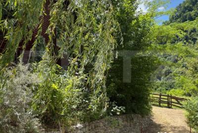 Casă cu 3 camere cu Teren 1470 Mp în Șugag - 1