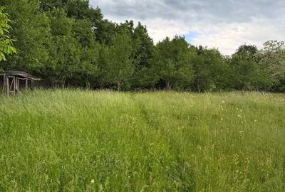 Teren de 4000 mp, în Ștubeiu - 7