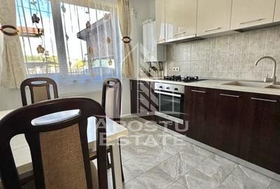 Casa de inchiriat, curte proprie, zona Dumbravita - 4