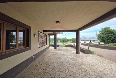 De vanzare proprietate unicat in Sascut - Bacau - 12