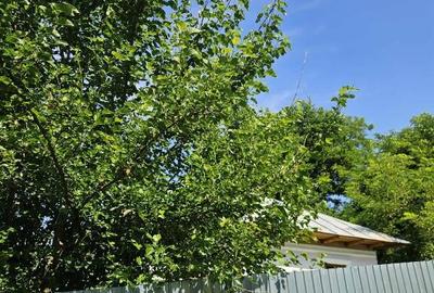 Casă cu 3 camere cu Teren 1900 Mp în Ion Creangă - 7