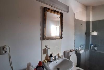 Apartament cu 2 camere nedecomandat în Parcul Carol - 1