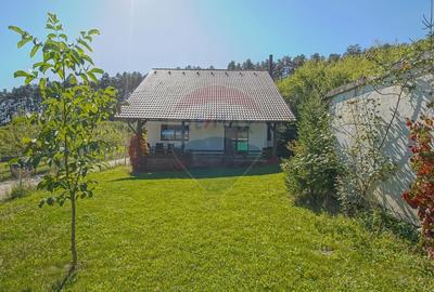 Comision 0%! Vila moderna, in mijlocul naturii - 4