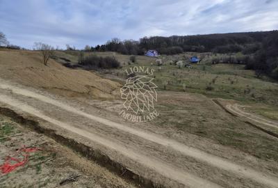 Teren agricol extravilan de 1500 mp, în Est - 4