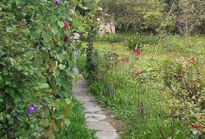 Casa de vanzare sat Carbune?ti, jud. Prahova - 5