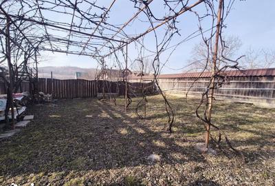 Casă cu 5 camere decomandat cu Teren 1600 Mp în Dobreni - 16