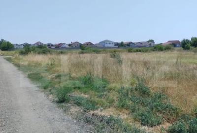 Teren de 500 mp, în Brestei - 2